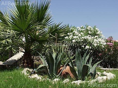 Diana Palace Hotel 11